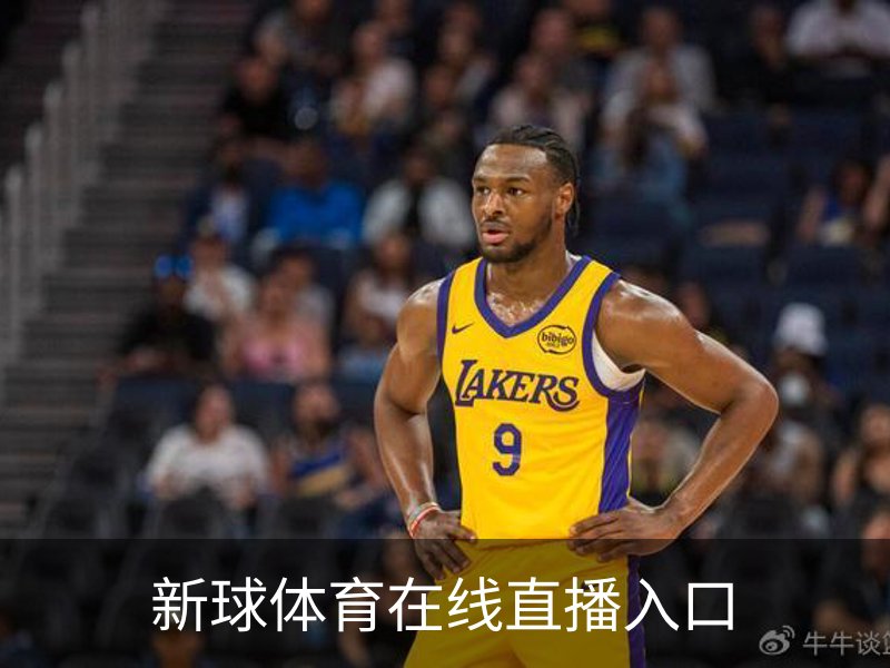 新球体育在线直播入口简介